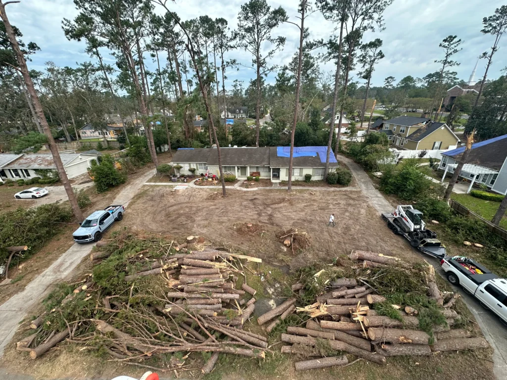 Green Arbor LLC Expands Tree Trimming and Removal Services Across Four ...